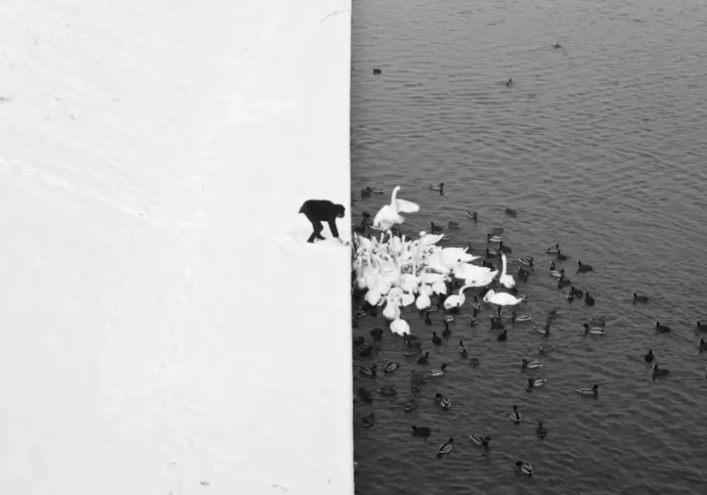 Minimalizm w fotografii - Twórz proste, mocne kadry