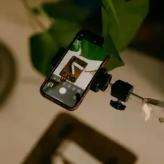 Telefon na statywie, ekran pokazuje, jak wyostrzyć zdjęcie. Obok zielony liść.